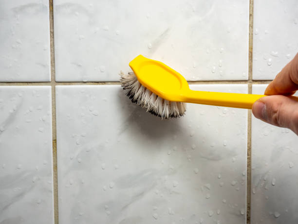 Best Office Mold Removal Services  in San Ysidro, NM