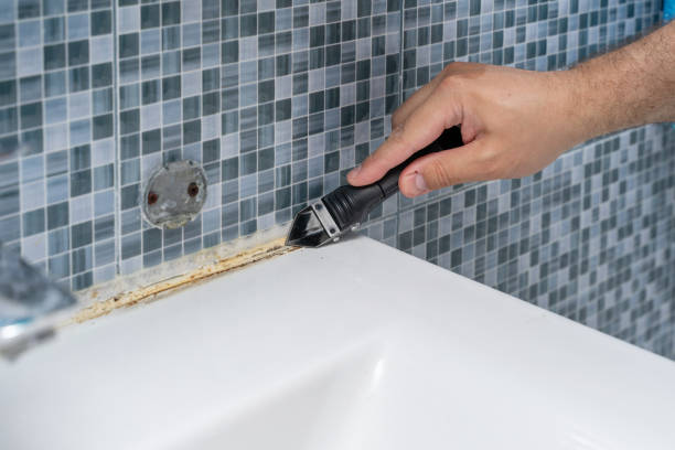 Best Residential Mold Removal  in San Ysidro, NM